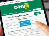DUNS: revealing the peculiarities of the procedure
